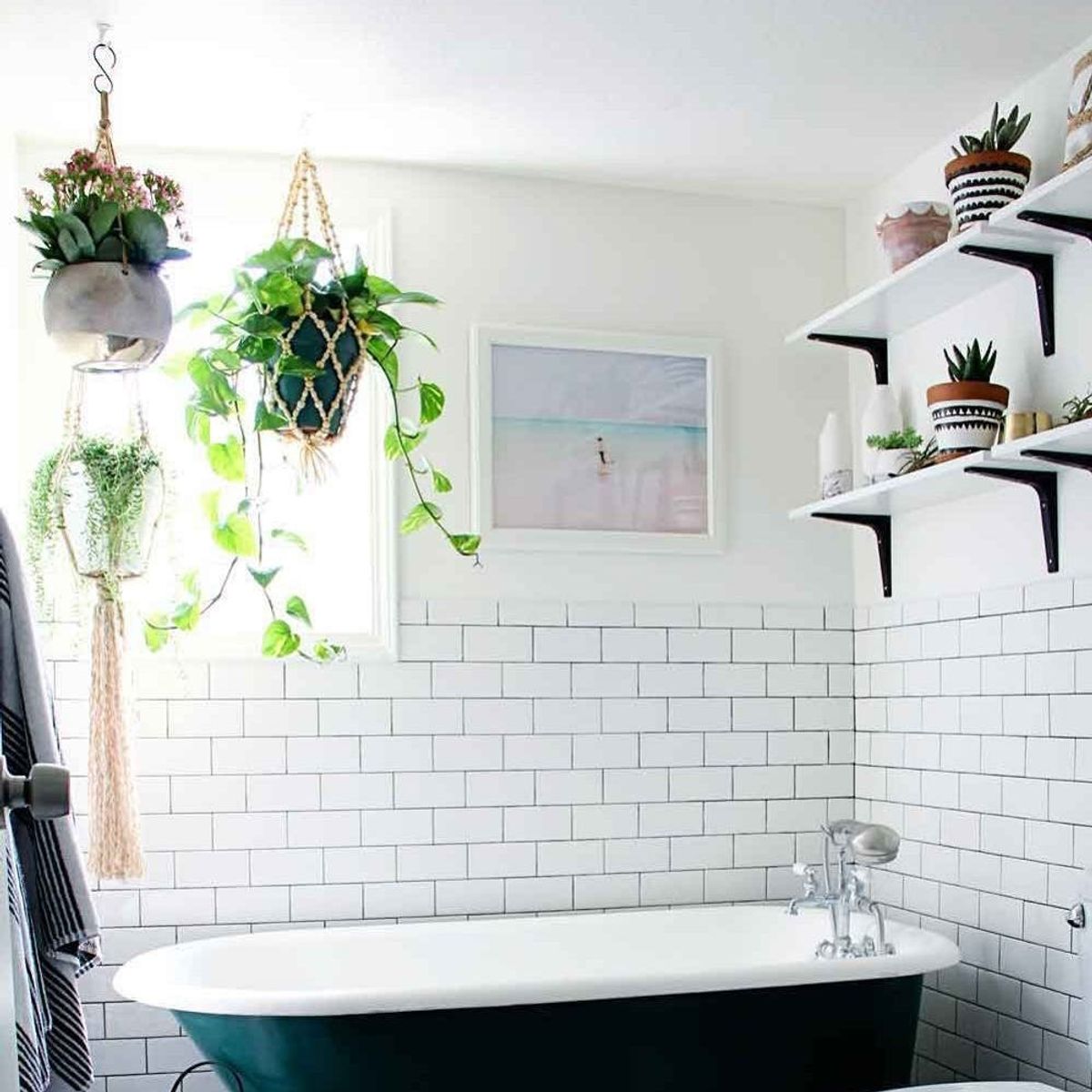 Here’s the Latest Low-Maintenance Plant Trend Taking Over Pinterest