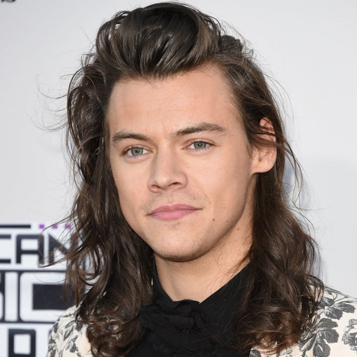 The Reason People Think This Is Harry Styles’ New Girlfriend Is Totally Misleading