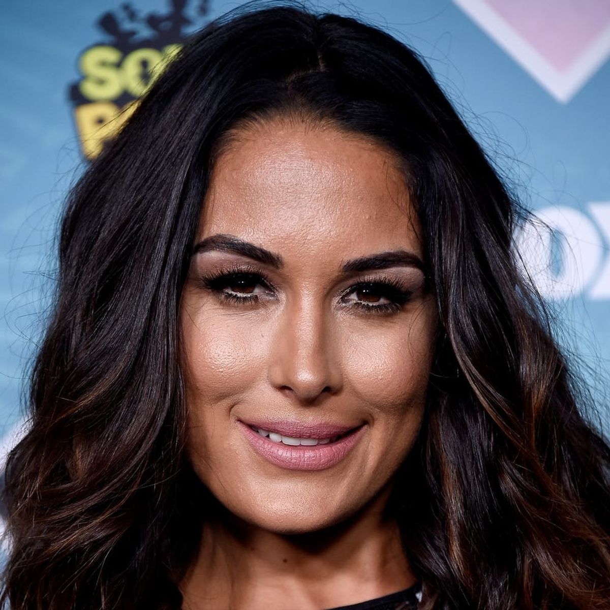 Brie Bella and Baby Are Recovering from a Major Hospital Scare