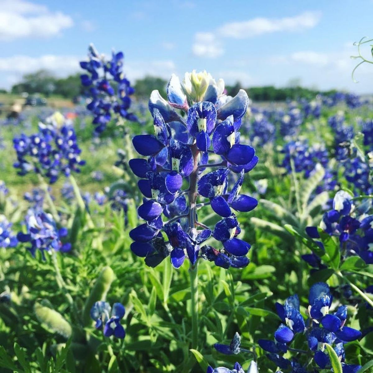 13 Instagram-Worthy Places to Visit This Spring