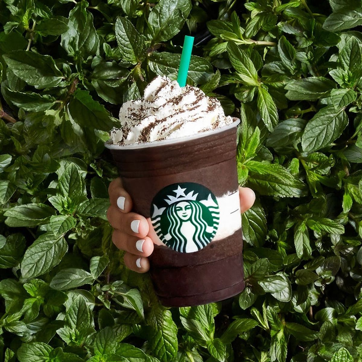 Starbucks’ New Frappuccino Is All About the Flavor