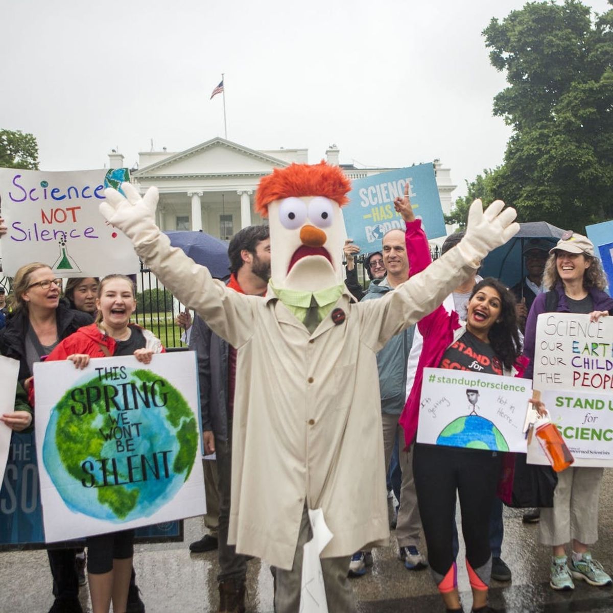 12 of the Best Signs to Come Out of the March for Science