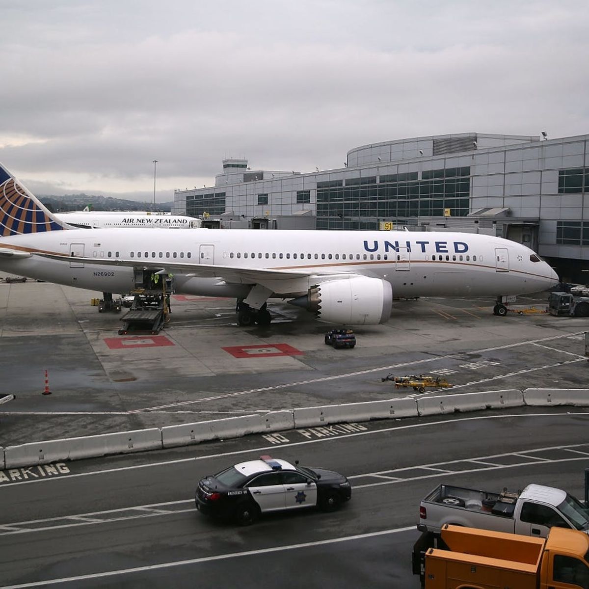 United Airline Nightmares Continue As a Man Is Stung by a Scorpion in the Middle of a Flight