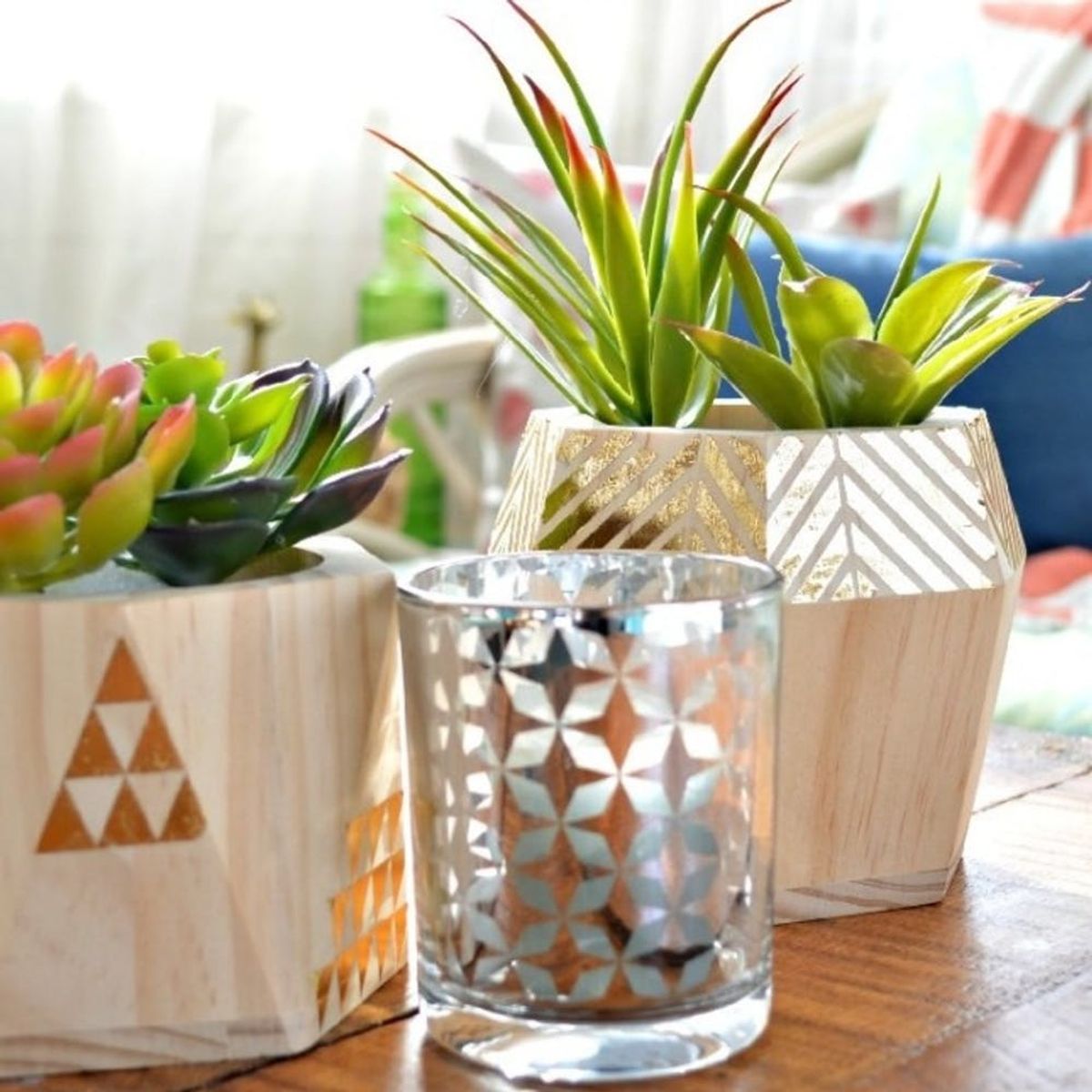 21 Creative Succulent Container Gardens to DIY or Buy Now