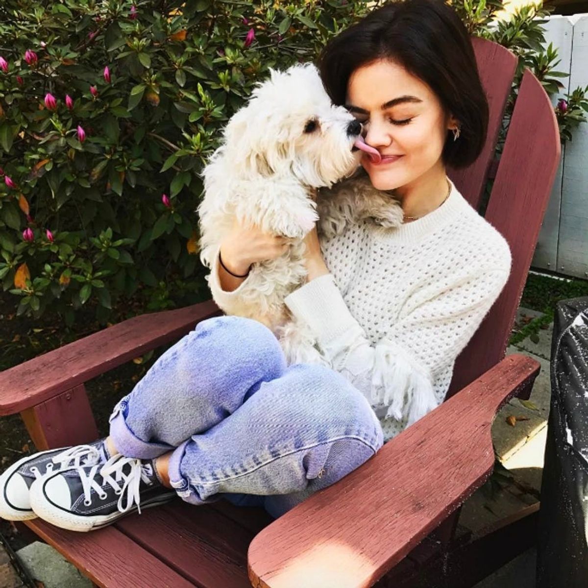 11 Pics of Celebrities and Their Dogs That’ll Brighten Your Day