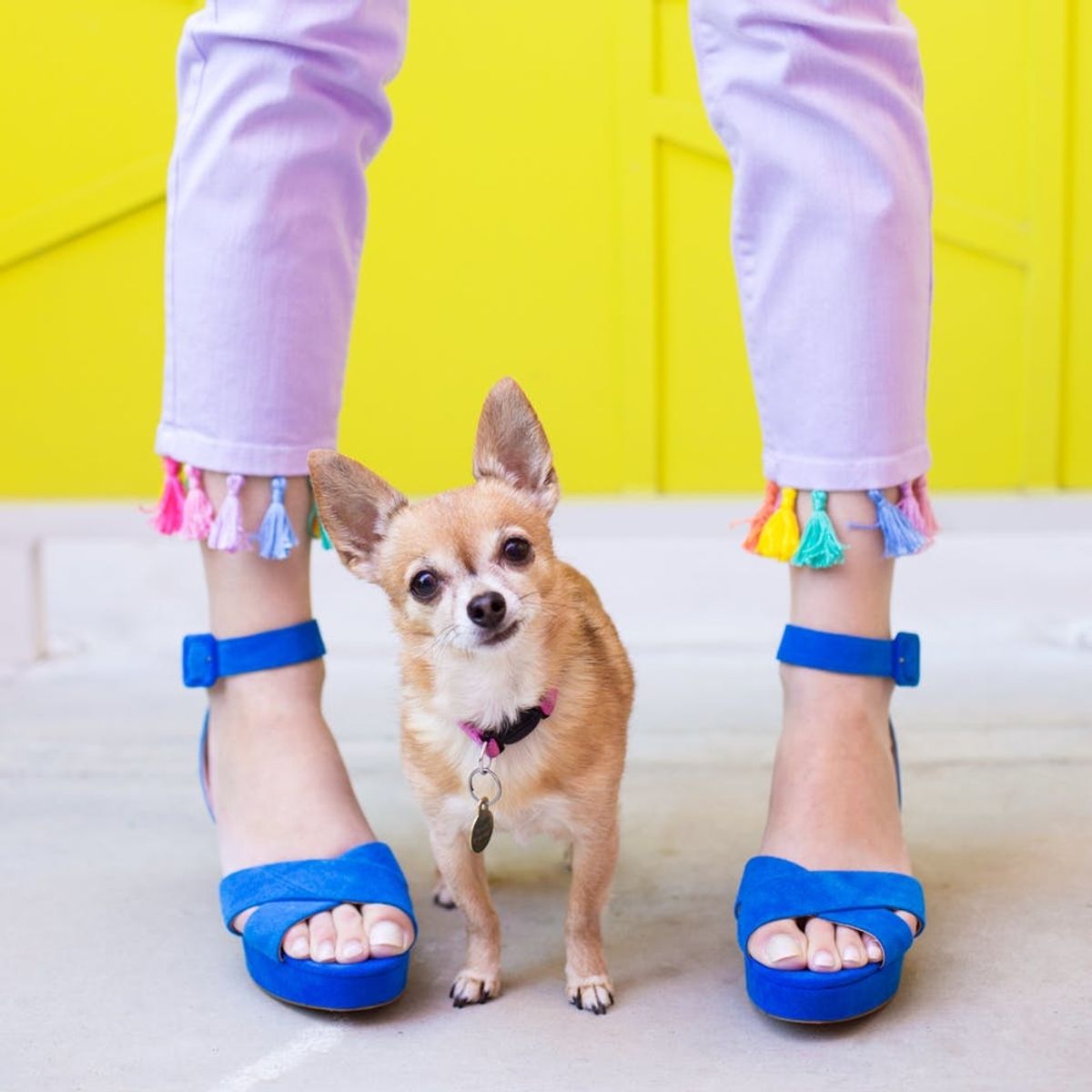 Get Crafty With Tassel Jeans, Avocado Eggs + More Weekend DIYs!