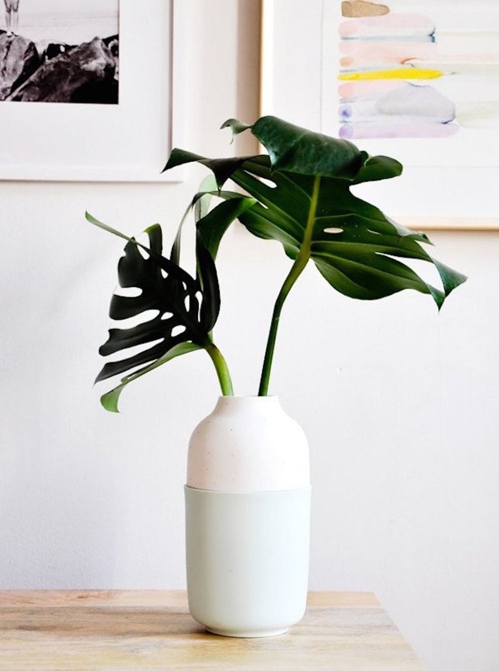 9 Affordable Online Home Shops You *Need* to Know Brit + Co