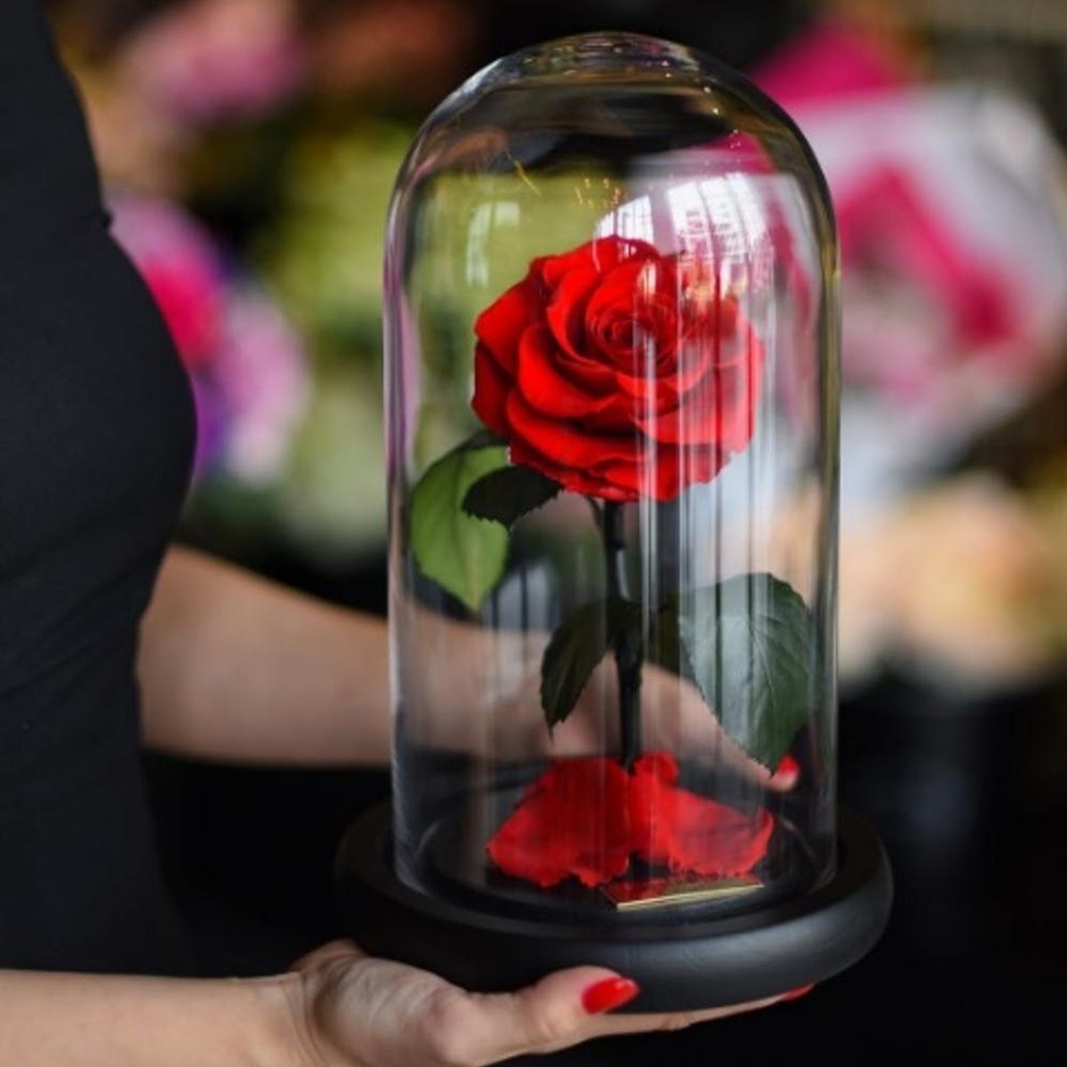These Totally Real Beauty and the Beast-like Enchanted Roses Last FOREVER