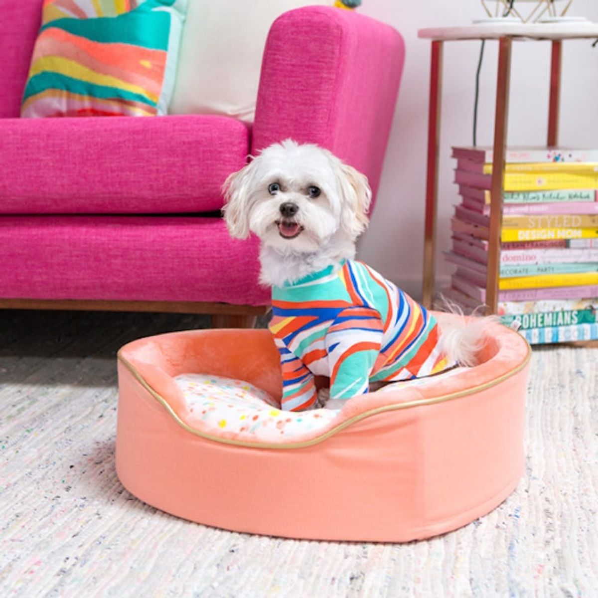 Oh Joy! Just Released a Pet Collection at Target and It Is *Literally* the Cutest