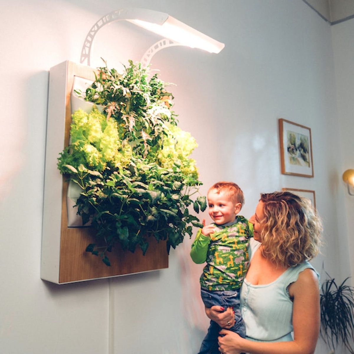 Get Your Grow on With This Easy Indoor Garden System