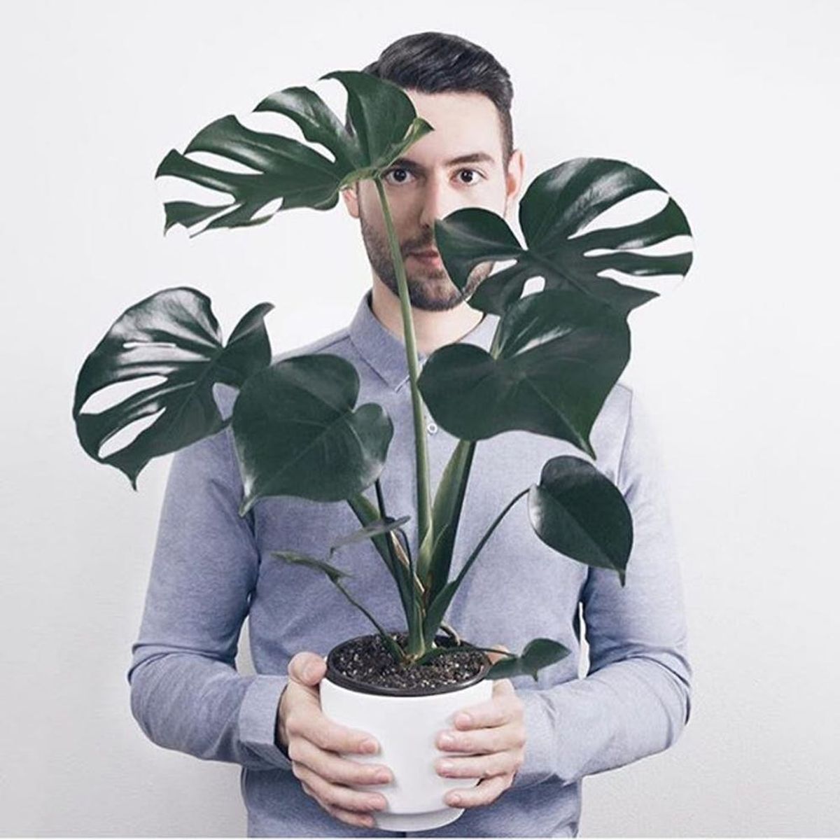 Boys With Plants Is Our New Favorite Instagram Account