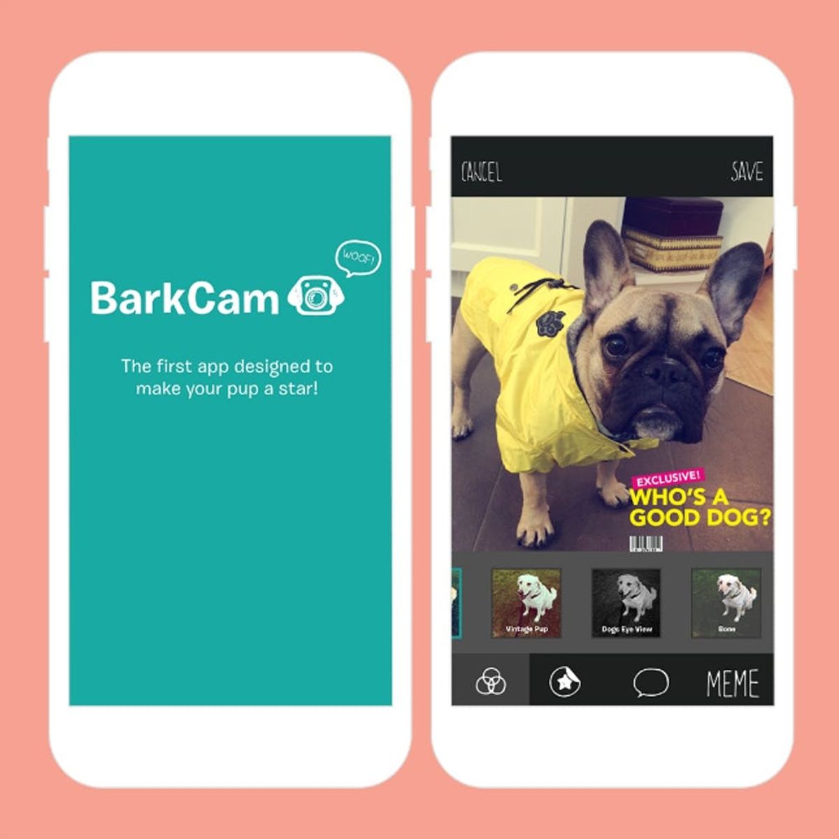 10 Dog Apps That Are Barking Genius