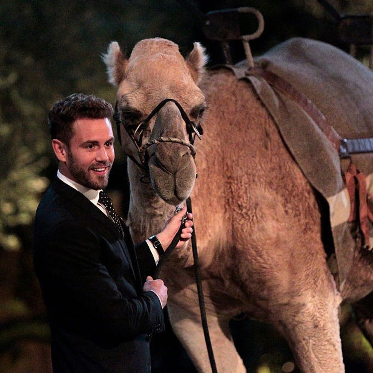The Bachelor Recap: Potential Villains, Red Dresses and Predictions