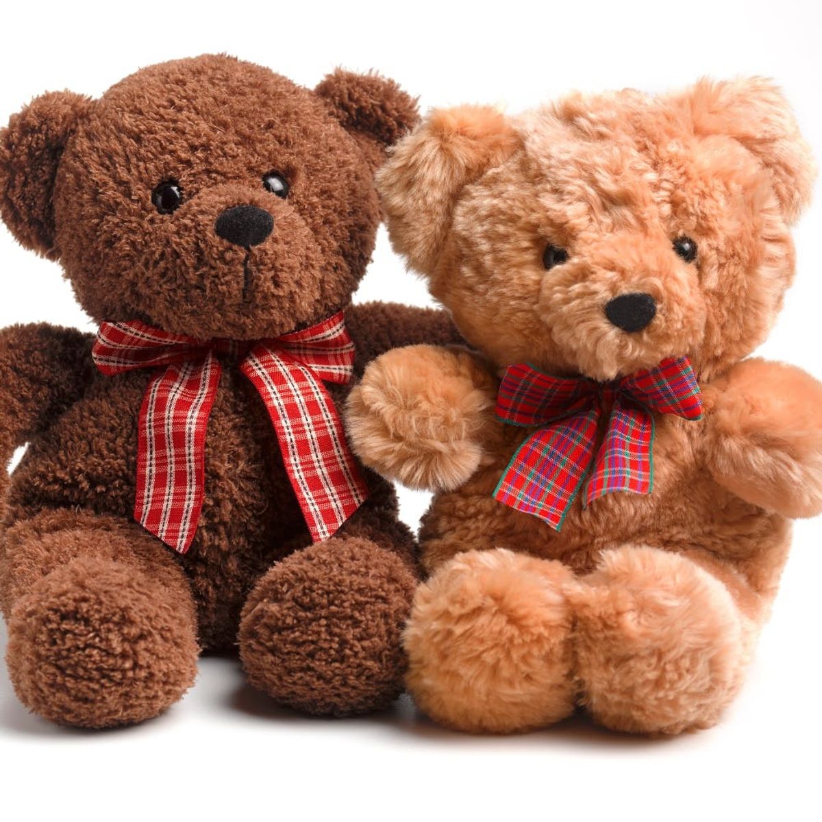 Two Little Girls Get Teddy Bears With Their Late Grandpa’s Voice