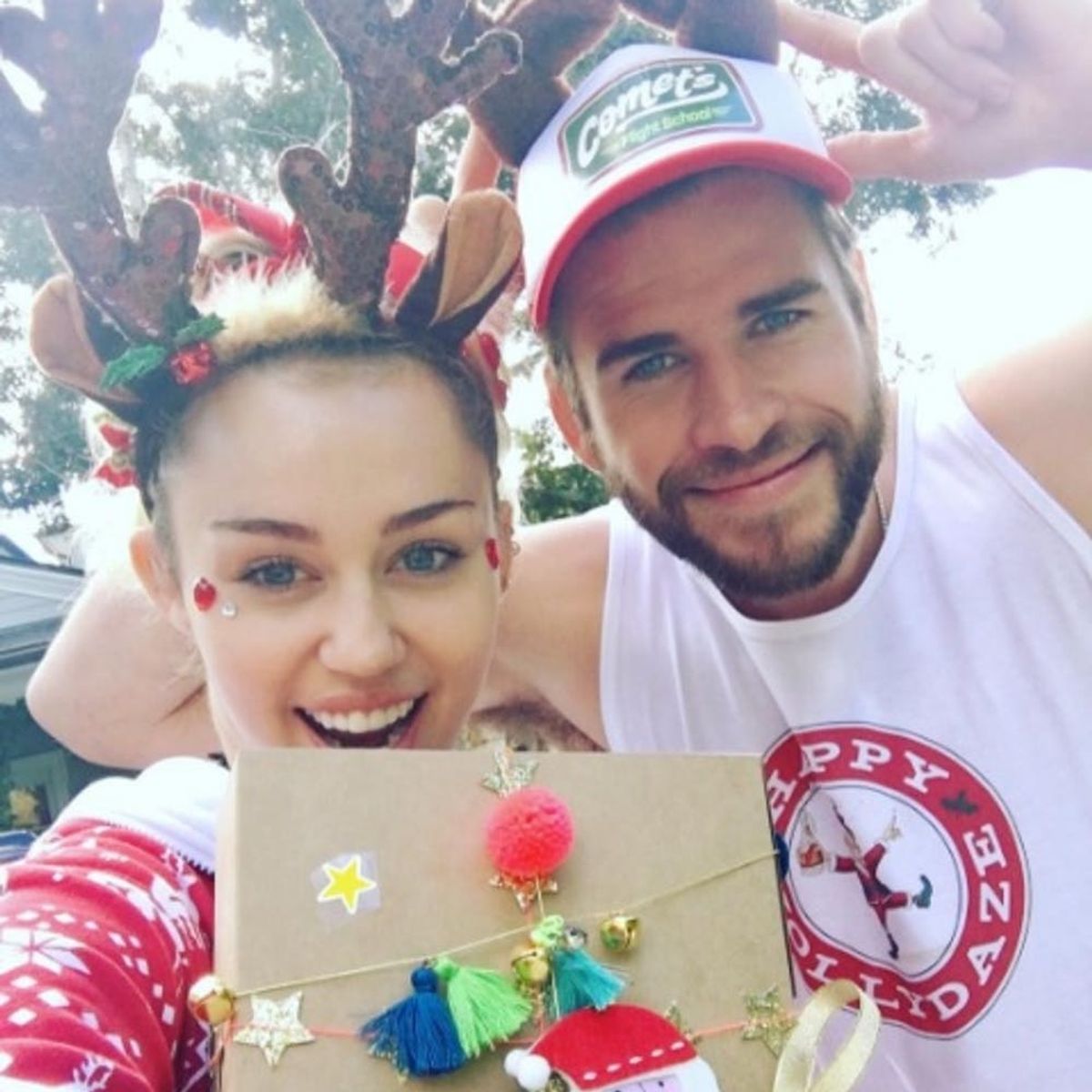 Liam Hemsworth Gave Miley Cyrus an Out-of-This-World DIY Christmas Gift