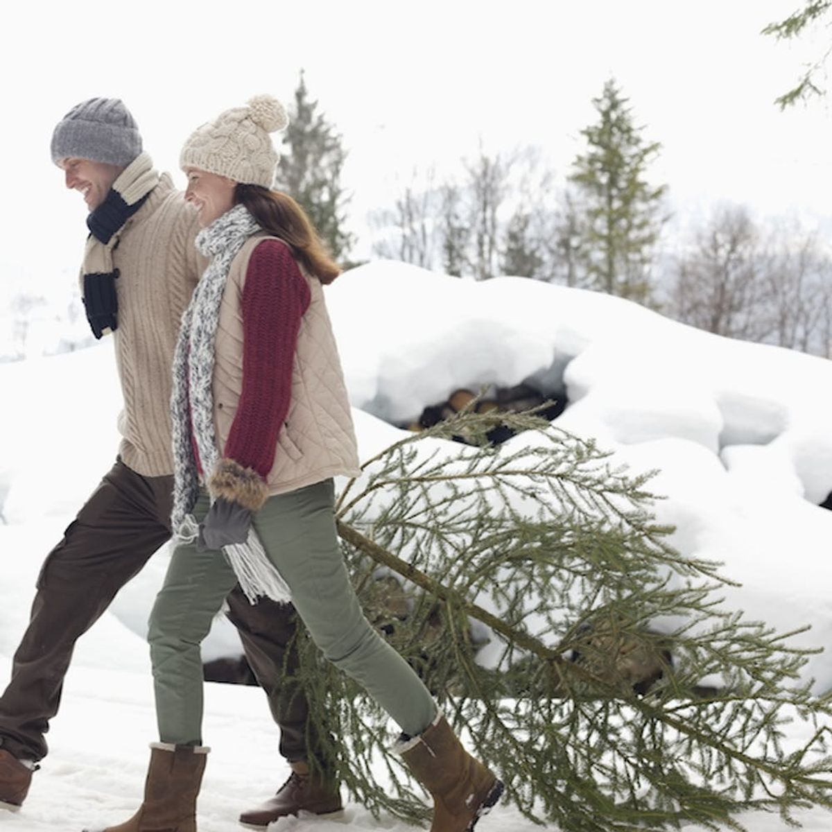 6 Holiday Hacks for Keeping Your Christmas Tree Healthy