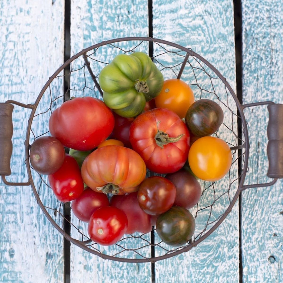 The Scientific Reason You’re *Ruining* Tomatoes by Storing Them in the Fridge
