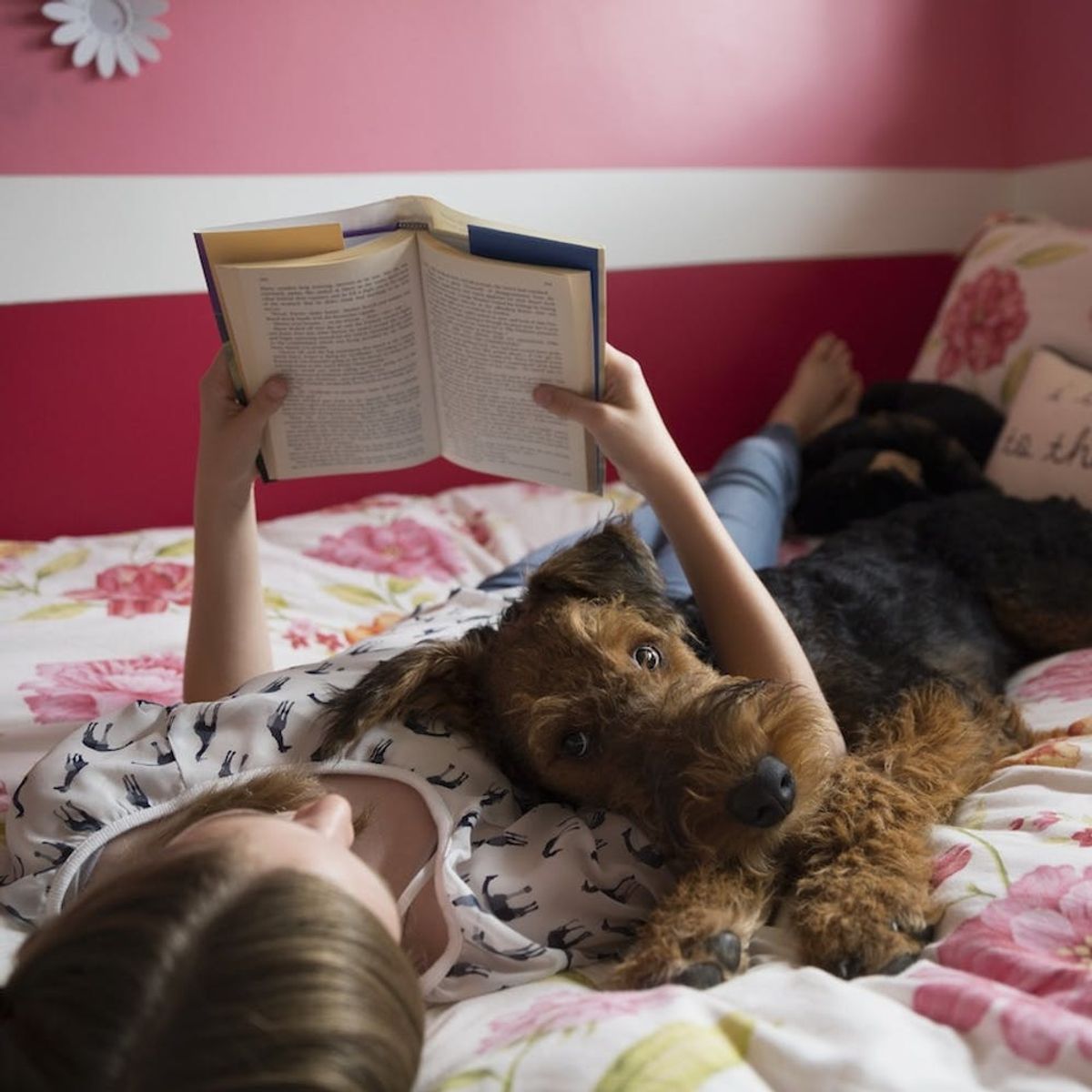 8 Sweet Dog Books That Won’t Make You Ugly Cry