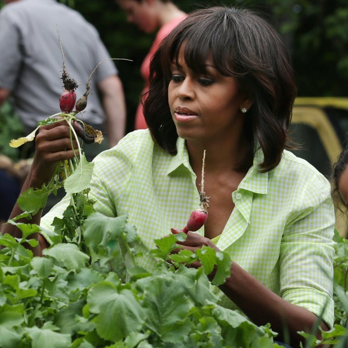 Find Out What Will Happen to Michelle Obama’s White House Vegetable Garden