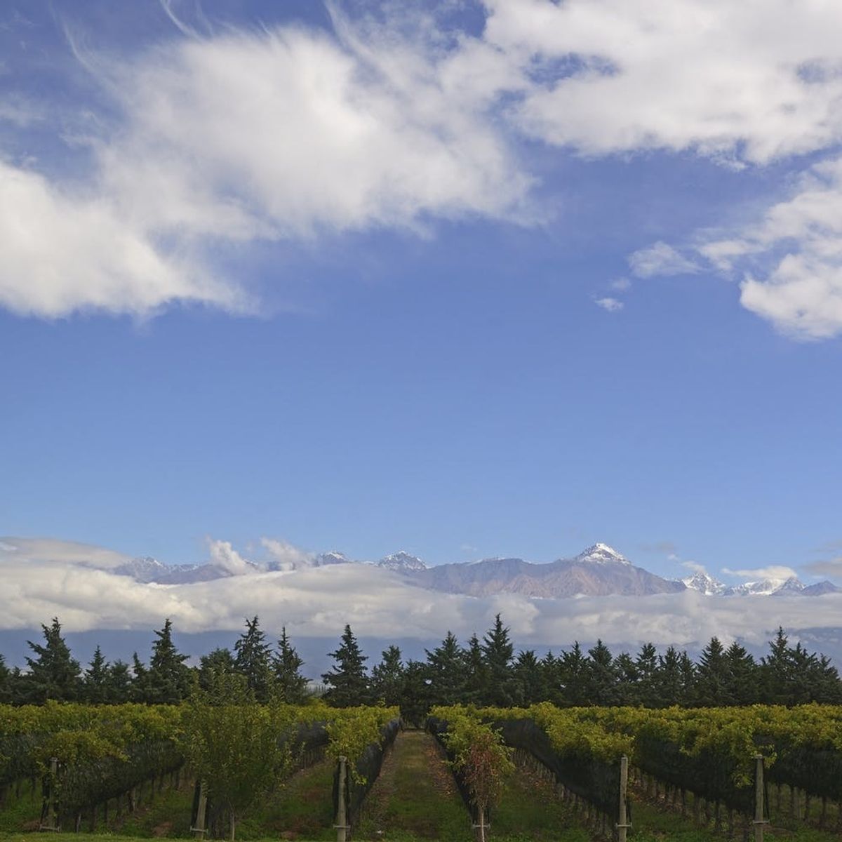 9 Gorgeous Travel Destinations for Wine Lovers