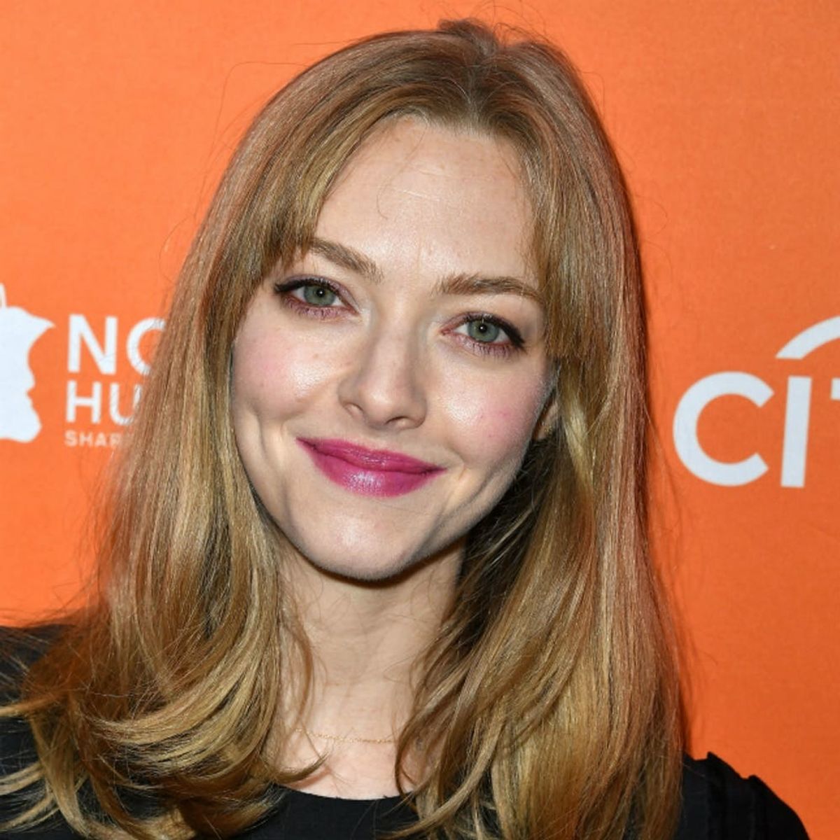 Amanda Seyfried Just Made a Brave Announcement About Her Mental Health