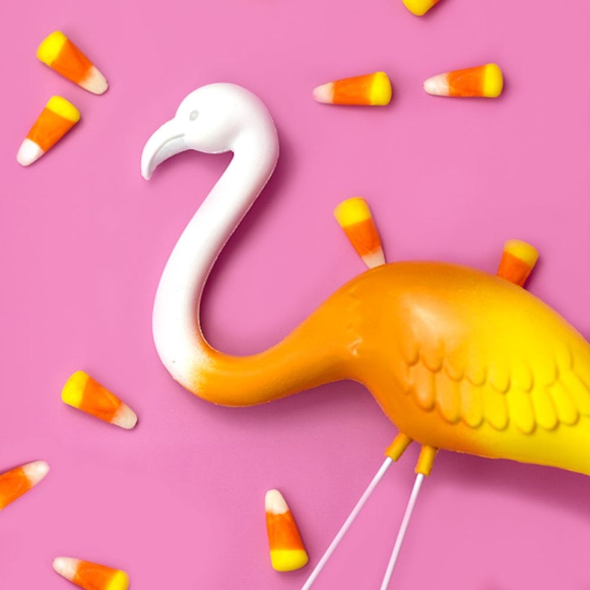 What to Make This Weekend: Candy Corn Flamingos, Snapchat Filter Makeup + More