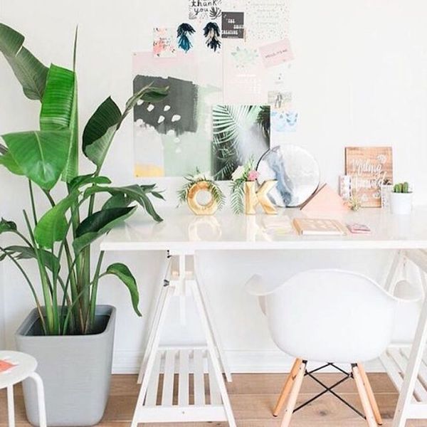 6 Cool Office Decor Ideas to Make Your Workspace Instagrammable -  PaperDirect Blog
