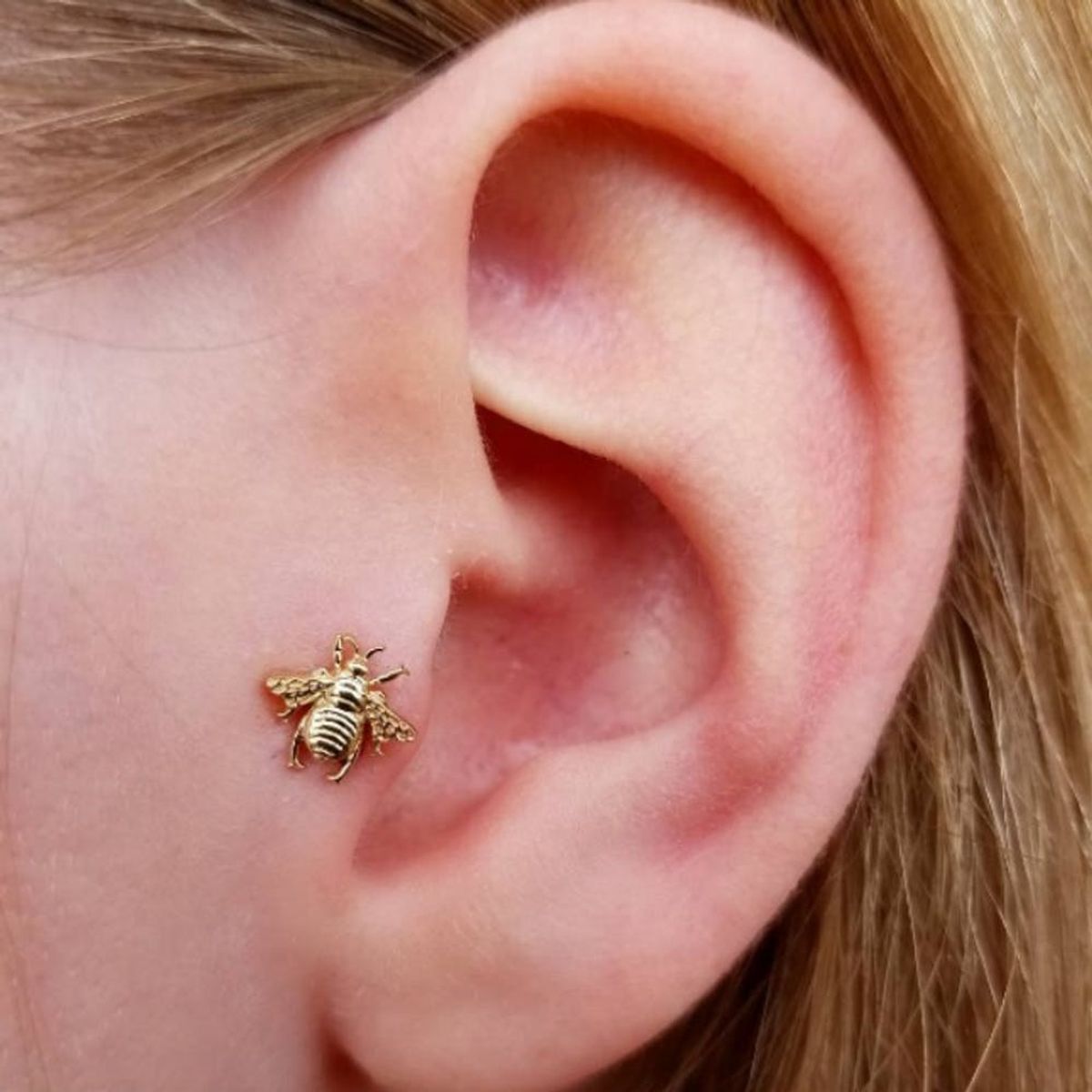 Thinking of Getting Pierced? These 9 Tragus Piercings Will Convince You