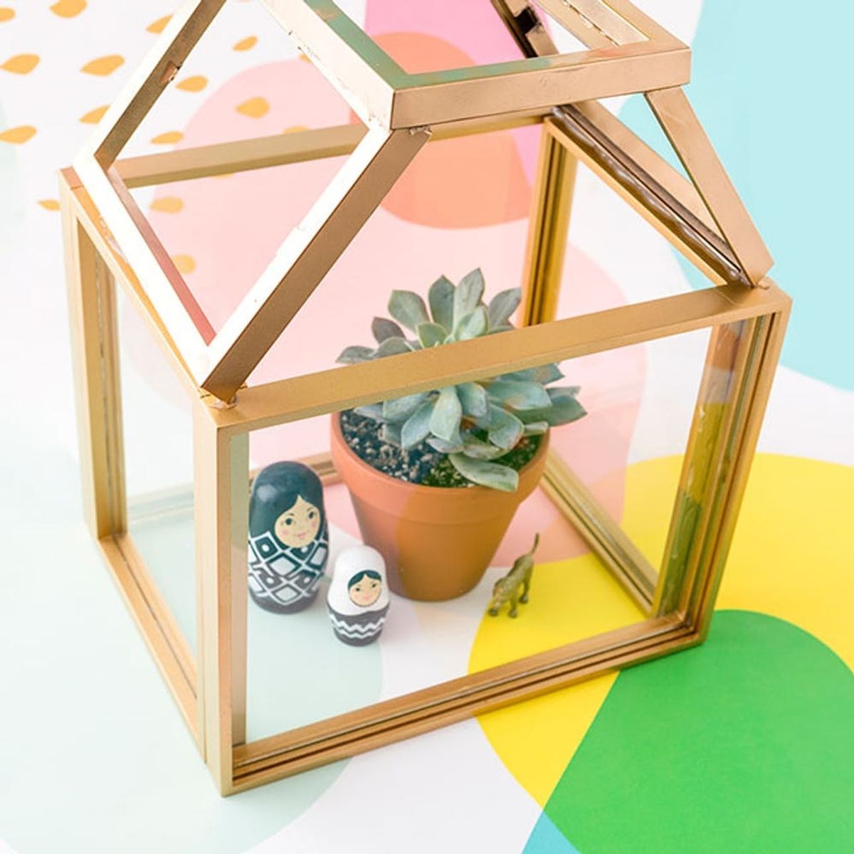 You’ll Never Believe What We Used to Build This Terrarium