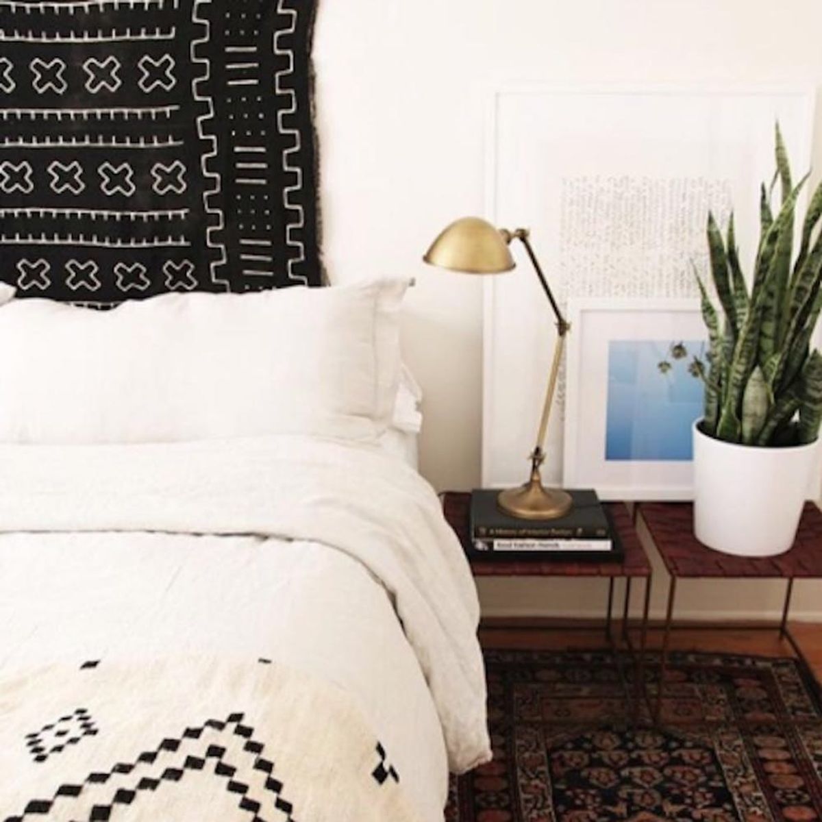 23 Instagrams That Prove Snake Plants Are the New Fiddle Leaf Fig