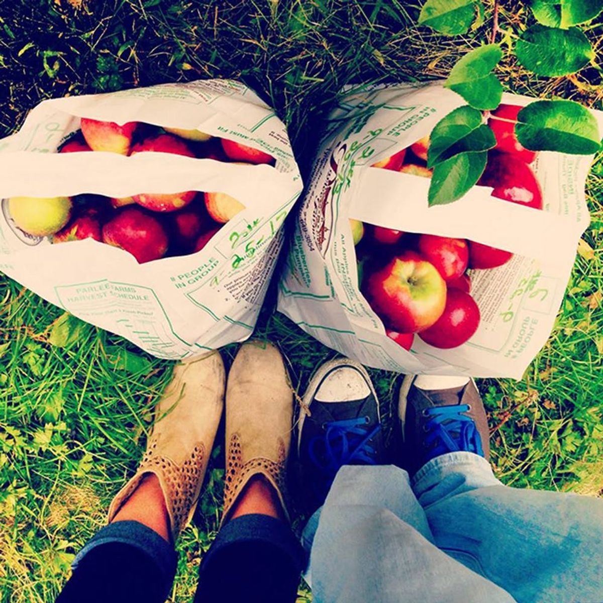 14 Fun Fall Dates You and Your Boo Need to Go On