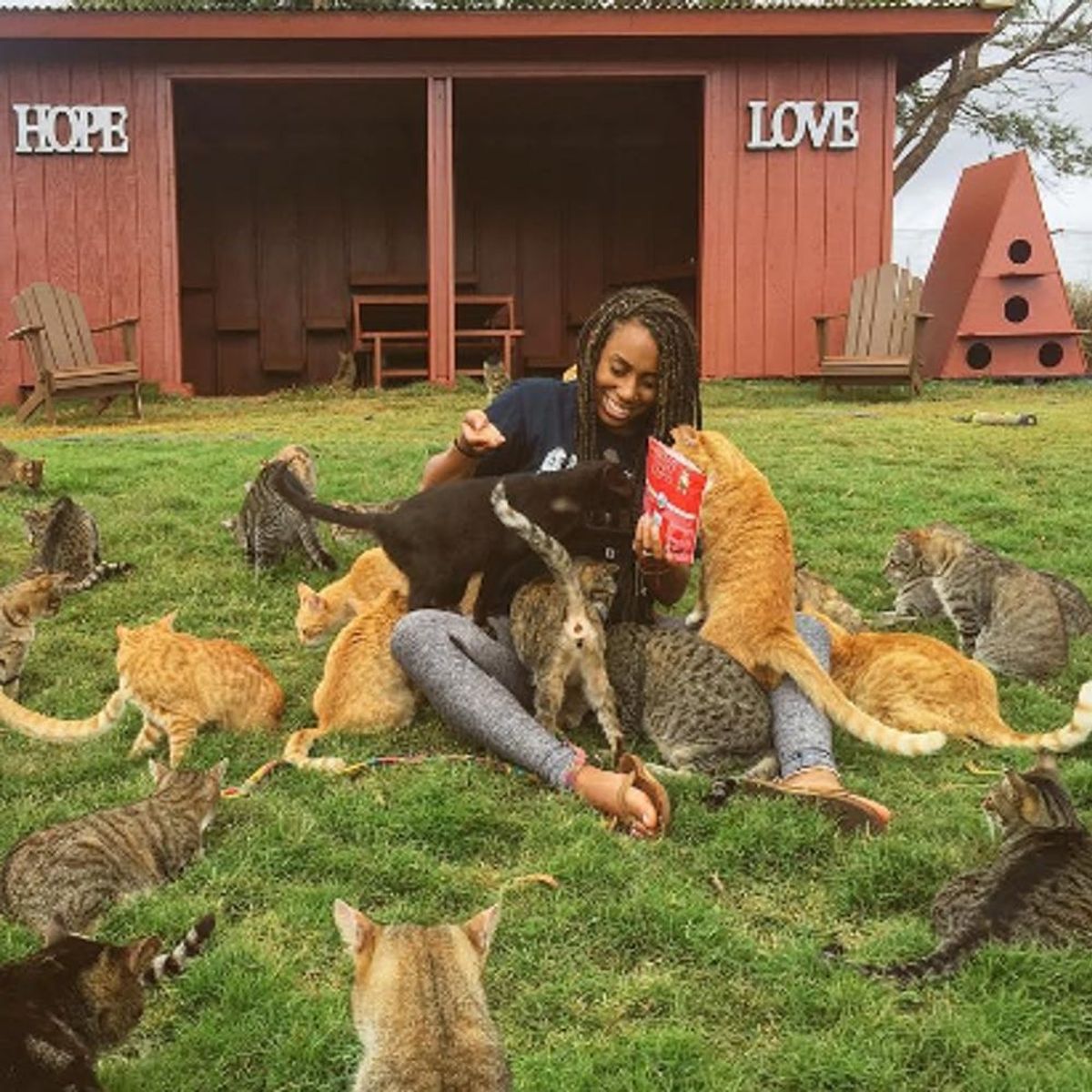 Live the Cat-Lady Dream in This Hawaiian Cat Sanctuary