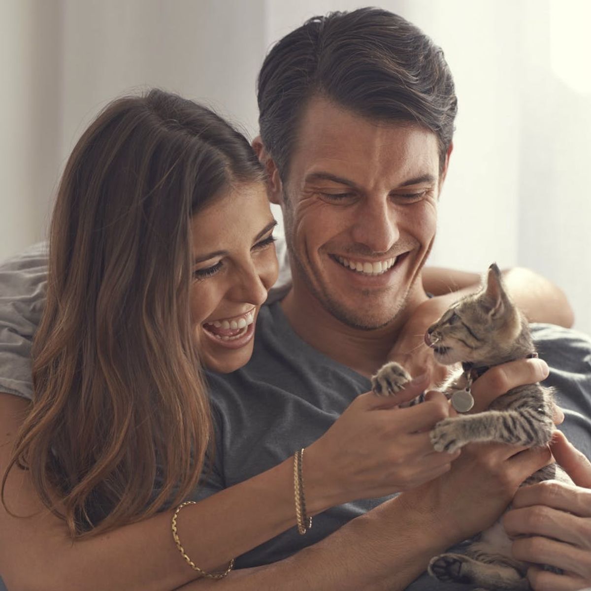 Thinking About Adopting a Kitten? Read These 5 Tips from the SPCA First