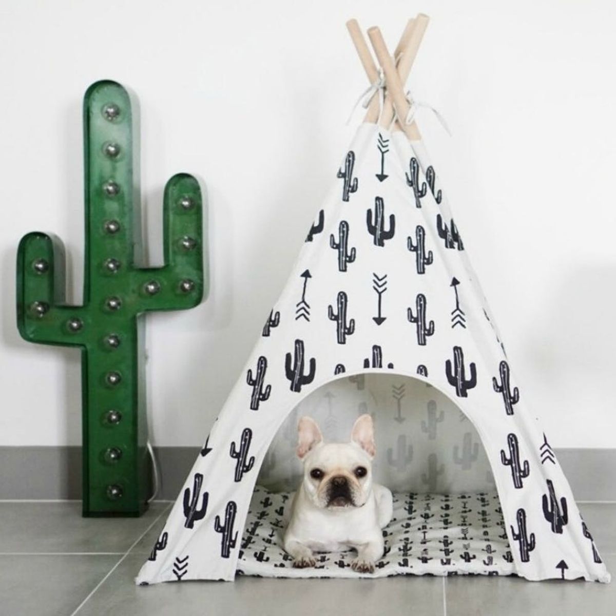 12 Indie Dog Companies to Shop for Your Precious Pooch