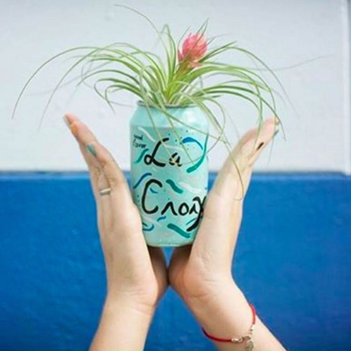 15 Instagrams That Are All About That #LaCroixLife