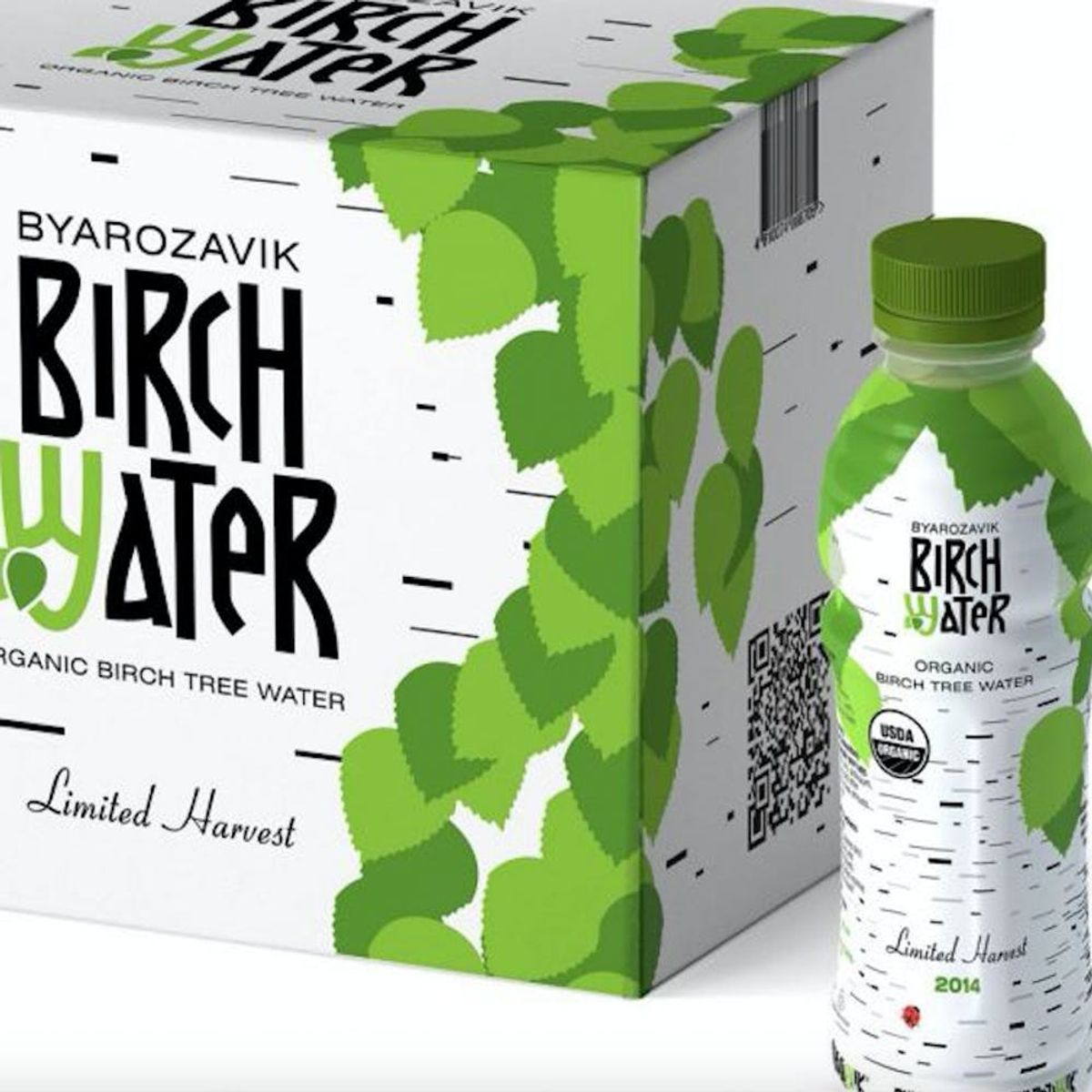 This Weird Tree-Based Drink Is the New Kombucha