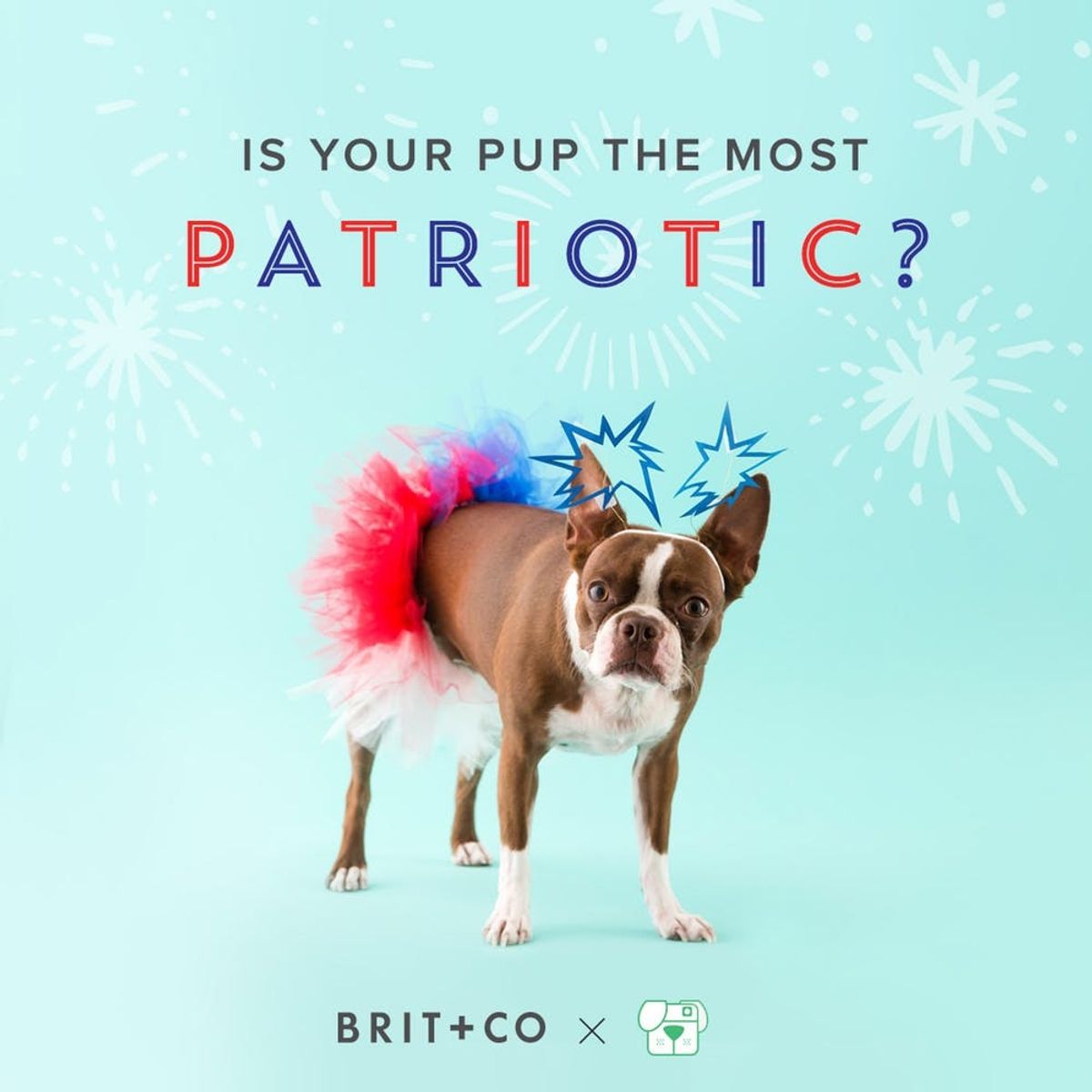 Show Us Your Patriotic Pups to Be Part of Our Snapchat 4th of July!