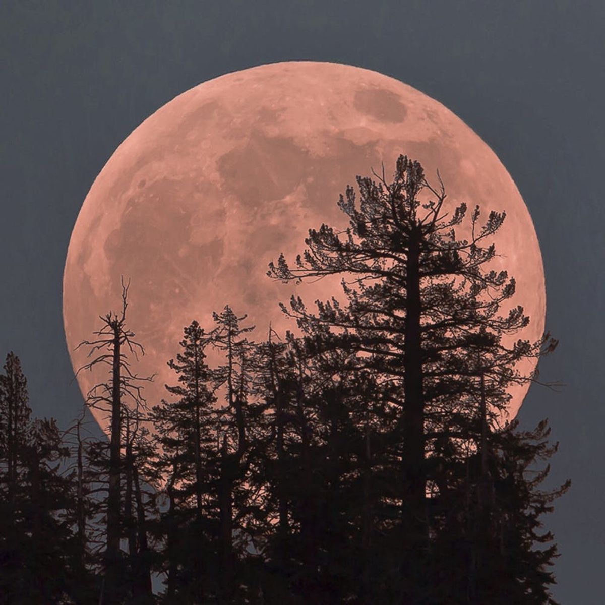 Stay Up Past Your Bedtime Because Tonight’s Going to Be a Strawberry Moon
