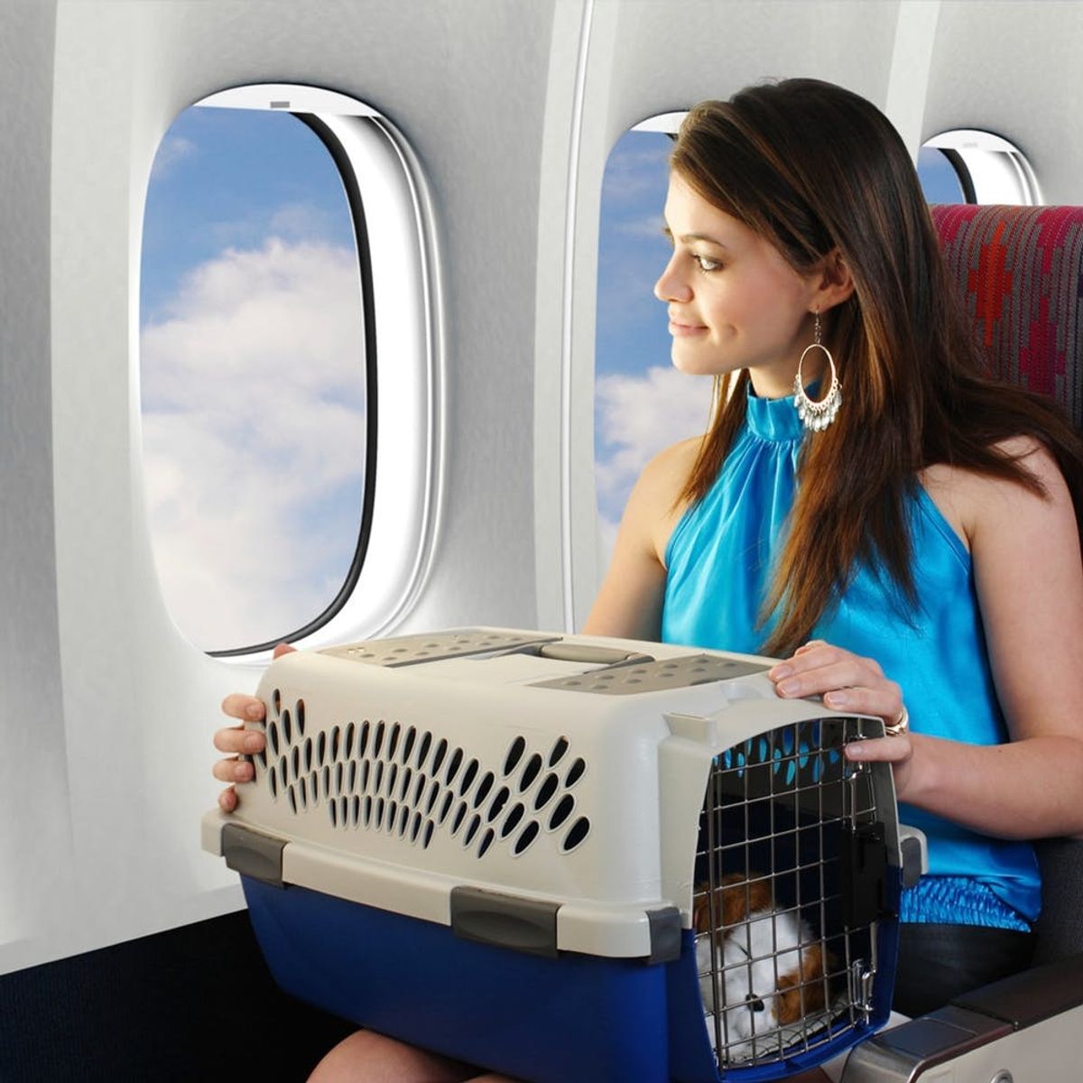 10 Expert Tips for Bringing Your Dog on an Airplane