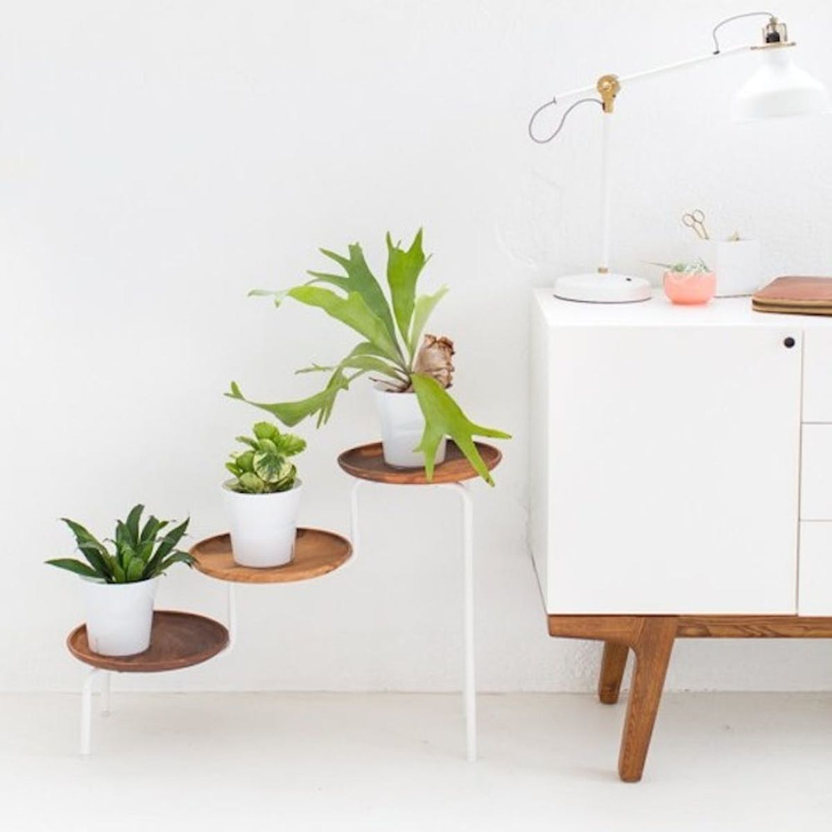 17 Modern + Minimalist DIY Plant Stands That’ll Transform Your Space