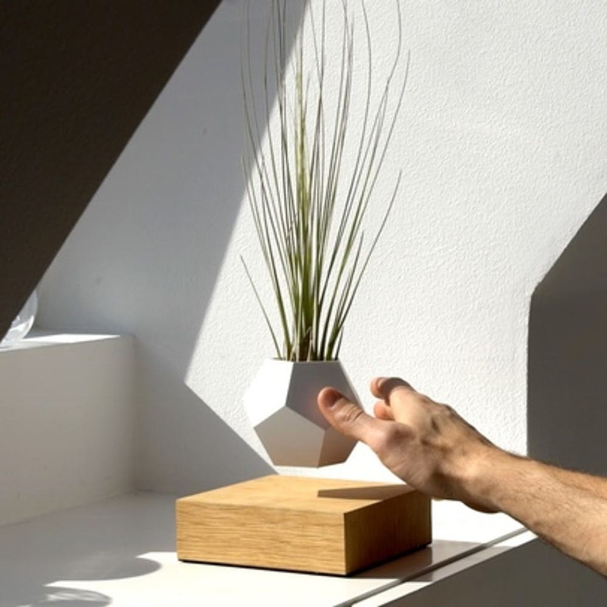 These Magnetized Planters Levitate in the Air