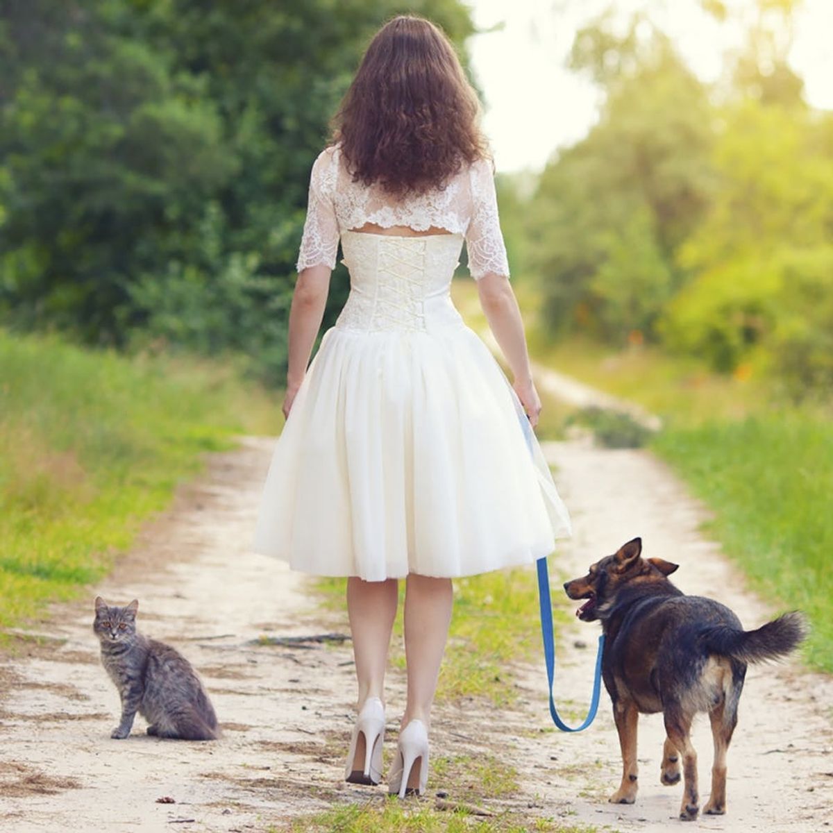 This Couple Traveled 3,000 Miles to Get Married at a Cat Sanctuary