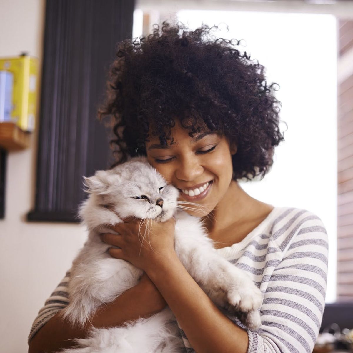 Calling All Cat Ladies: There’s Now a Brush That Lets You Lick Your Cat