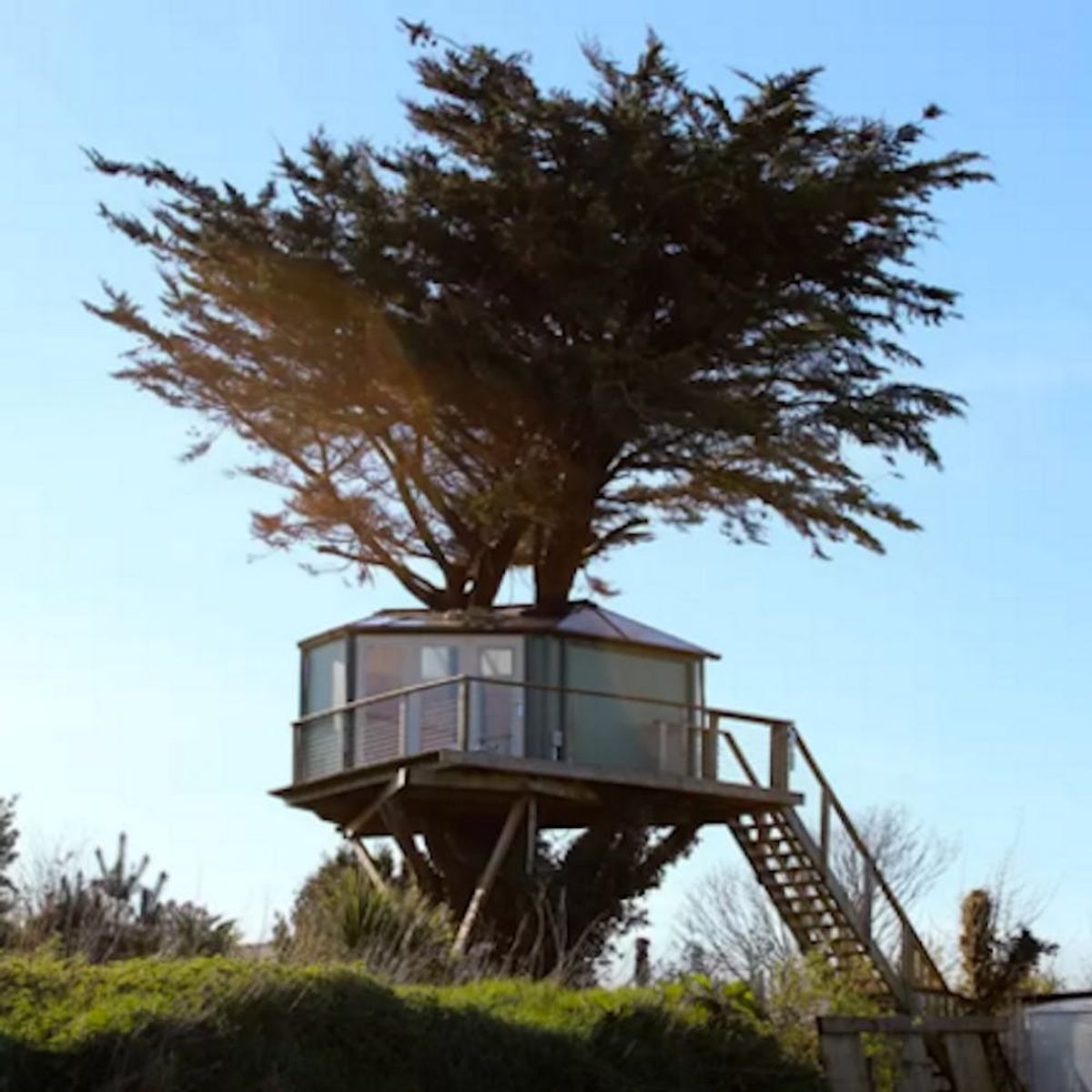 9 Amazing Treehouse Airbnbs You Need to Book Now