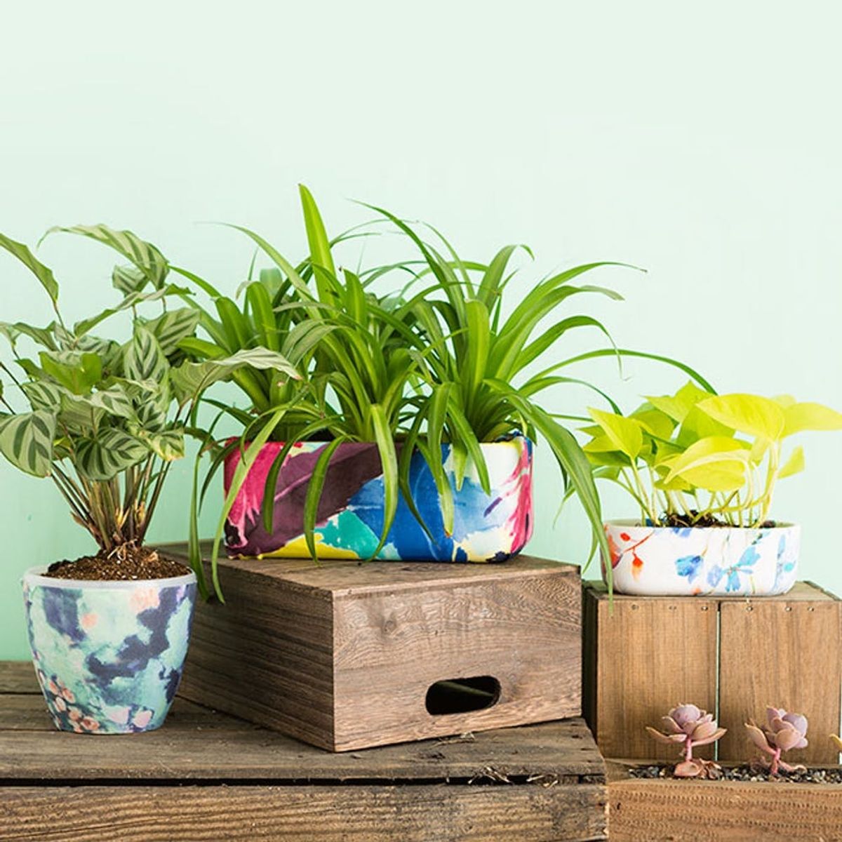 Update Your Planters for Spring With This Anthropologie Hack