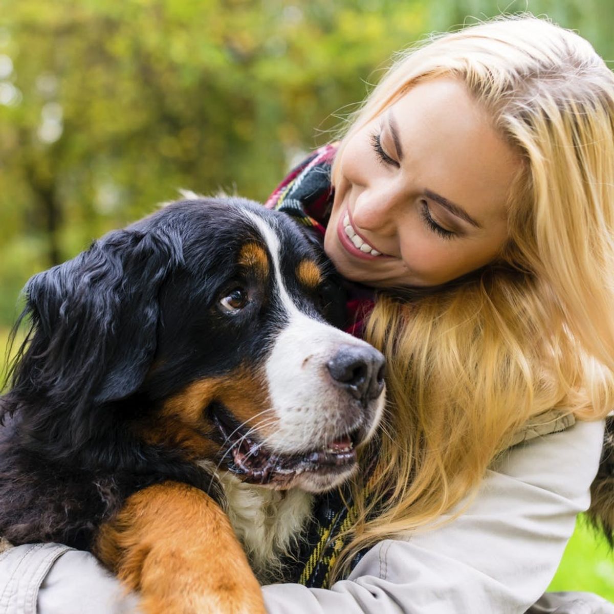 Rejoice! Dogs Don’t Hate Hugs After All