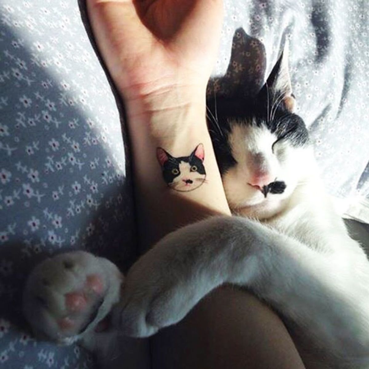12 Pet Tattoos to Celebrate Your Furry Friend