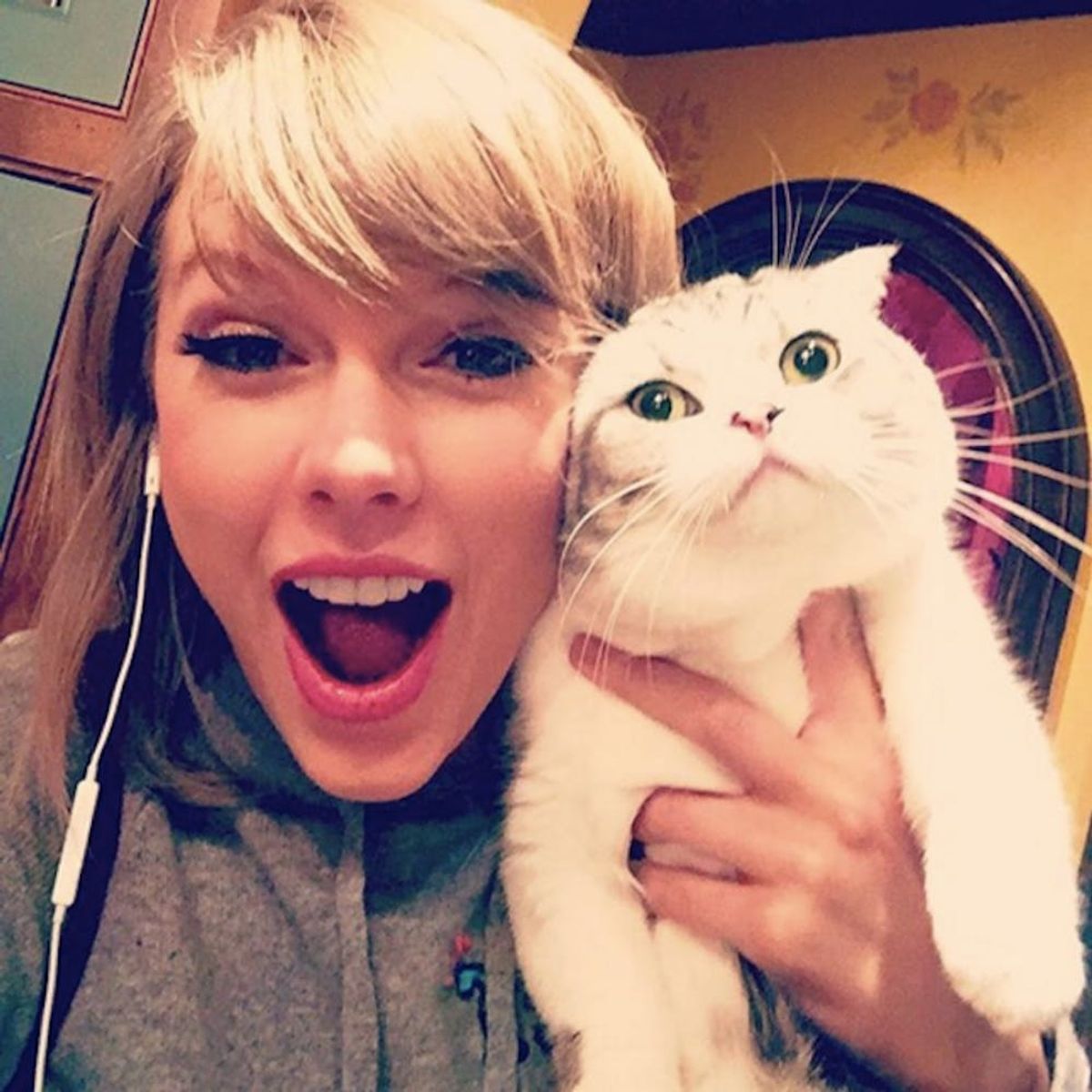 Morning Buzz! Taylor Swift’s Cat at a Party Is All of Us + More