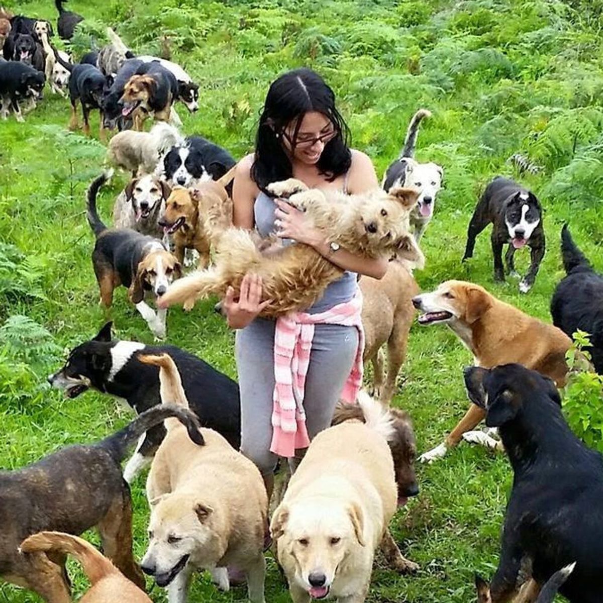 This Costa Rican Dog Sanctuary Is a Puppy Lovers’ Dream