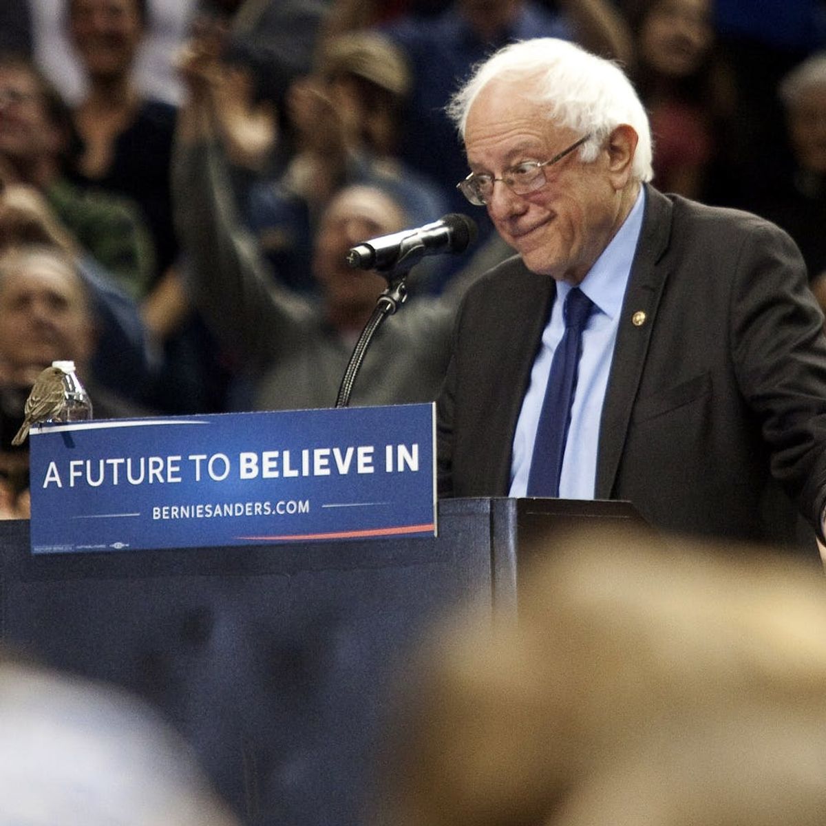 The Most LOL-Worthy Memes from the Election So Far